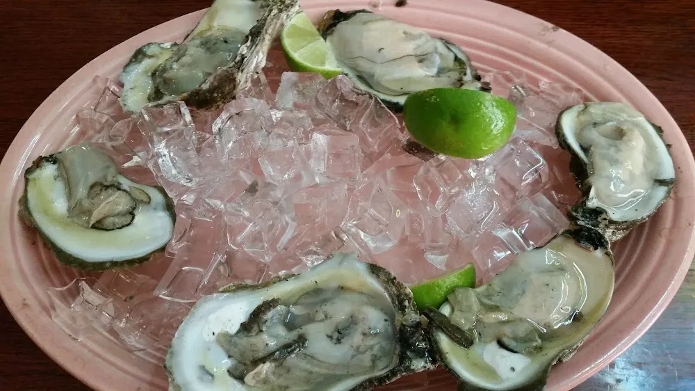 Oysters